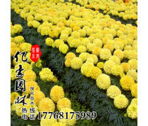 產(chǎn)品庫