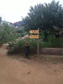 采摘啦 采摘啦 最全的采摘基地看這里